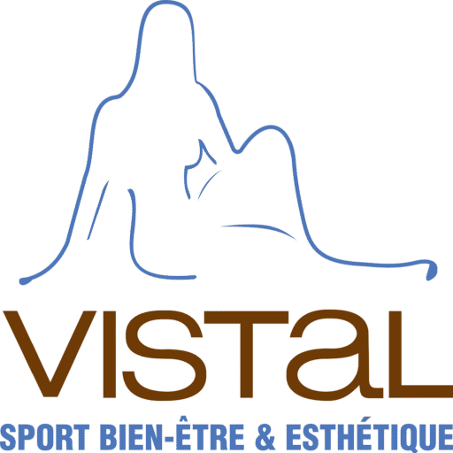 Cropped Logo Vistal Png Scaled 1